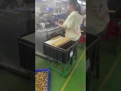 Производитель искусственных игрушек